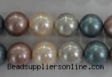 CSB1094 15.5 inches 12mm round mixed color shell pearl beads