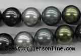 CSB1126 15.5 inches 14mm round mixed color shell pearl beads