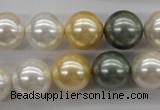 CSB1130 15.5 inches 14mm round mixed color shell pearl beads