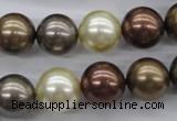 CSB1133 15.5 inches 14mm round mixed color shell pearl beads