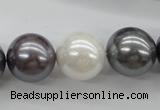 CSB1150 15.5 inches 16mm round mixed color shell pearl beads