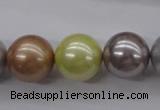 CSB1155 15.5 inches 16mm round mixed color shell pearl beads