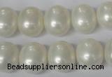 CSB136 15.5 inches 12*15mm – 13*16mm oval shell pearl beads