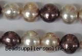 CSB157 15.5 inches 12*15mm – 13*16mm oval mixed color shell pearl beads