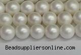 CSB1601 15.5 inches 6mm round matte shell pearl beads wholesale