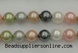 CSB310 15.5 inches 8mm round mixed color shell pearl beads