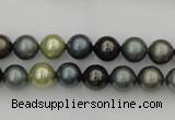 CSB316 15.5 inches 8mm round mixed color shell pearl beads