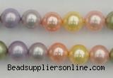 CSB330 15.5 inches 10mm round mixed color shell pearl beads