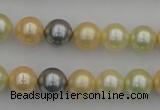 CSB333 15.5 inches 10mm round mixed color shell pearl beads