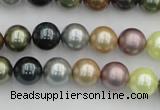 CSB339 15.5 inches 10mm round mixed color shell pearl beads