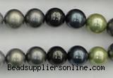 CSB340 15.5 inches 10mm round mixed color shell pearl beads