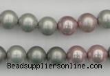 CSB341 15.5 inches 10mm round mixed color shell pearl beads