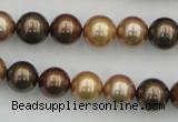 CSB342 15.5 inches 10mm round mixed color shell pearl beads