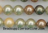 CSB359 15.5 inches 12mm round mixed color shell pearl beads