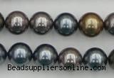 CSB366 15.5 inches 12mm round mixed color shell pearl beads