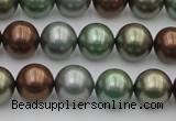 CSB367 15.5 inches 12mm round mixed color shell pearl beads