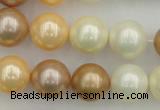 CSB371 15.5 inches 14mm round mixed color shell pearl beads