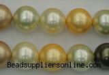 CSB374 15.5 inches 14mm round mixed color shell pearl beads