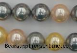 CSB377 15.5 inches 14mm round mixed color shell pearl beads