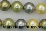 CSB380 15.5 inches 14mm round mixed color shell pearl beads