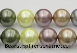 CSB381 15.5 inches 14mm round mixed color shell pearl beads