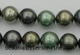 CSB385 15.5 inches 14mm round mixed color shell pearl beads