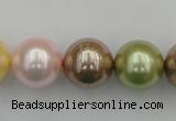 CSB393 15.5 inches 16mm round mixed color shell pearl beads