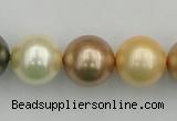 CSB394 15.5 inches 16mm round mixed color shell pearl beads