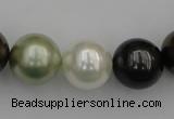 CSB396 15.5 inches 16mm round mixed color shell pearl beads