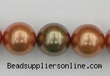 CSB397 15.5 inches 16mm round mixed color shell pearl beads