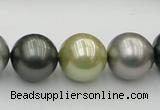 CSB398 15.5 inches 16mm round mixed color shell pearl beads