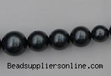 CSB405 15.5 inches 8mm - 16mm round shell pearl beads