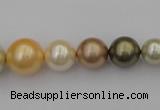 CSB407 15.5 inches 8mm - 16mm round mixed color shell pearl beads