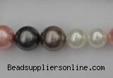 CSB408 15.5 inches 8mm - 16mm round mixed color shell pearl beads