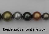 CSB410 15.5 inches 8mm - 16mm round mixed color shell pearl beads