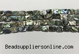 CSB4151 15.5 inches 8*10mm rectangle abalone shell beads wholesale