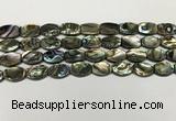 CSB4159 15.5 inches 8*12mm flat drum abalone shell beads wholesale