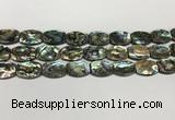 CSB4161 15.5 inches 12*16mm flat drum abalone shell beads wholesale