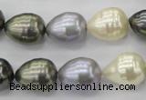 CSB552 15.5 inches 12*15mm whorl teardrop mixed color shell pearl beads