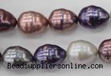 CSB553 15.5 inches 12*15mm whorl teardrop mixed color shell pearl beads