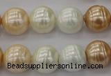 CSB624 15.5 inches 14mm whorl round mixed color shell pearl beads