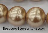 CSB662 15.5 inches 22mm whorl round shell pearl beads