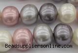 CSB694 15.5 inches 13*15mm oval mixed color shell pearl beads