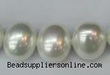 CSB825 15.5 inches 16*19mm oval shell pearl beads wholesale