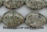 CSF03 15.5 inches 18*25mm flat teardrop shell fossil jasper beads