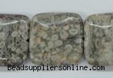 CSF07 15.5 inches 25*25mm square shell fossil jasper beads