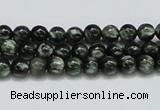 CSH01 15.5 inches 6mm round natural seraphinite gemstone beads