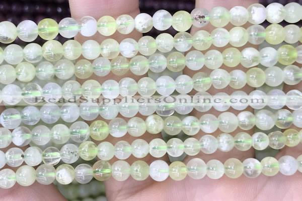 CSJ310 15.5 inches 5mm round serpentine new jade beads