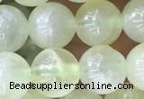 CSJ312 15.5 inches 7mm round serpentine new jade beads