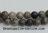 CSL01 15.5 inches 8mm round silver leaf jasper beads wholesale